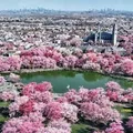 Coliving in Jersey City - Jersey City / Hoboken, New York