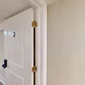 Coliving in Midtown Baltimore - Baltimore Metro Area, Washington DC