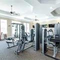 Coliving in East Durham - Durham, Raleigh
