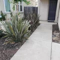 3 bedrooms apartment for rent in South Natomas - North SAC, Sacramento
