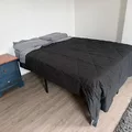 Coliving in Cecil B. Moore - North Philadelphia, Philadelphia