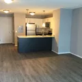 1 bedroom apartment for rent in River North - Central, Chicago