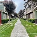 3 bedrooms apartment for rent in Southeast Boise - Boise, Boise
