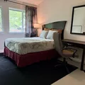 Coliving in North Lamar - North Austin, Austin