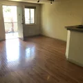 1 bedroom apartment for rent in City Park - Center Denver, Denver