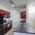 1 bedroom apartment for rent in Ahwatukee Footheels - Phoenix, Phoenix