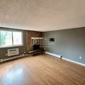 1 bedroom apartment for rent in Capitol Hill DEN - Center Denver, Denver