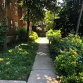 1 bedroom apartment for rent in West Mount Airy - Nw Philadelphia, Philadelphia