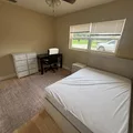 Coliving in Forest Hills Tampa - North Tampa, Tampa