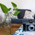 Coliving in West Arlington - Arlington, Dallas