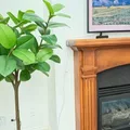 2 bedrooms apartment for rent in Central City SLC - Central SLC, Salt Lake City