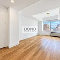 1 bedroom apartment for rent in Tribeca - Manhattan, New York