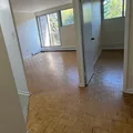 1 bedroom apartment for rent in Sandy Hill - Central Ottawa, Ottawa