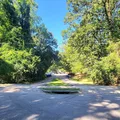 2 bedrooms apartment for rent in Wade - Central Raleigh, Raleigh