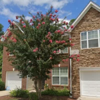 Coliving in Morrisville - Outer Triangle, Raleigh