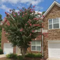 Coliving in Morrisville - Outer Triangle, Raleigh