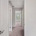 Coliving in Wade - Central Raleigh, Raleigh