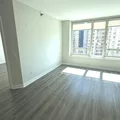 1 bedroom apartment for rent in River North - Central, Chicago