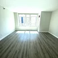 1 bedroom apartment for rent in River North - Central, Chicago