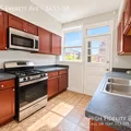 3 bedrooms apartment for rent in Hyde Park - South Side, Chicago