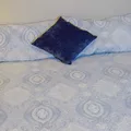Coliving in University Square - North Tampa, Tampa