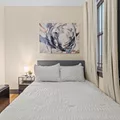 Coliving in Cecil B. Moore - North Philadelphia, Philadelphia