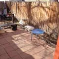 1 bedroom apartment for rent in Country Club - Center Denver, Denver