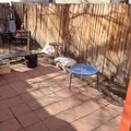 1 bedroom apartment for rent in Country Club - Center Denver, Denver