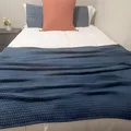 Coliving in Lowry Park Central - North Tampa, Tampa
