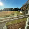Coliving in Belmont NC - West Charlotte, Charlotte