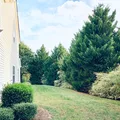 Coliving in Sardis Woods - East Charlotte, Charlotte