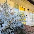 Coliving in Clayton County GA - South Atl, Atlanta