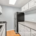 1 bedroom apartment for rent in Magnificent Mile - Central, Chicago
