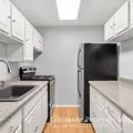 1 bedroom apartment for rent in Magnificent Mile - Central, Chicago