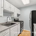 1 bedroom apartment for rent in Magnificent Mile - Central, Chicago
