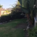 1 bedroom apartment for rent in North Park - Inland, San Diego