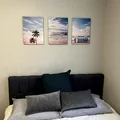 Coliving in Sarasota - Sarasota, Sarasota