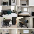 Coliving in Sarasota - Sarasota, Sarasota