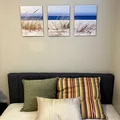 Coliving in Sarasota - Sarasota, Sarasota
