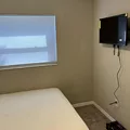 Coliving in Sarasota - Sarasota, Sarasota