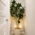 Coliving in Jersey City - Jersey City / Hoboken, New York