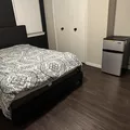 Coliving in Cedar Crest - Se Dallas, Dallas