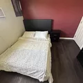 Coliving in Cedar Crest - Se Dallas, Dallas
