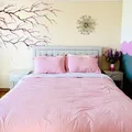 Coliving in Winsdor Park - West Houston, Houston