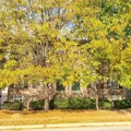 3 bedrooms apartment for rent in Marian-Cold Springs - Central Indy, Indianapolis