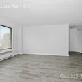 1 bedroom apartment for rent in South Shore - South Side, Chicago