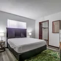 Coliving in Spring Hill - North Tampa, Tampa