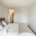 1 bedroom apartment for rent in Streeterville - Central, Chicago
