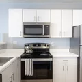 1 bedroom apartment for rent in Streeterville - Central, Chicago