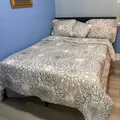 Coliving in Petersburg - South RVA, Richmond